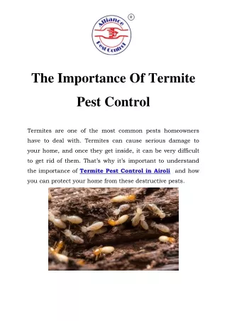 the importance of termite