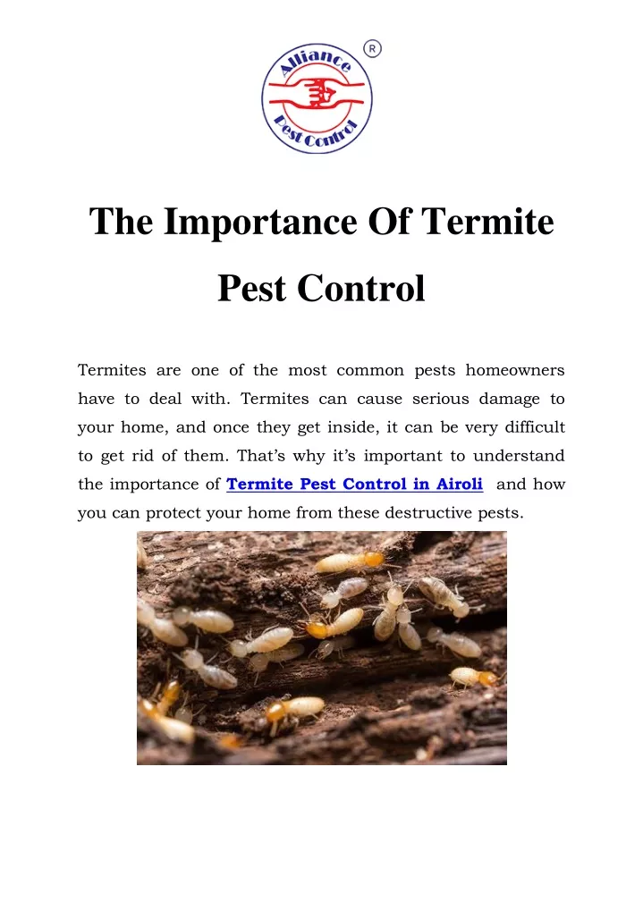 the importance of termite