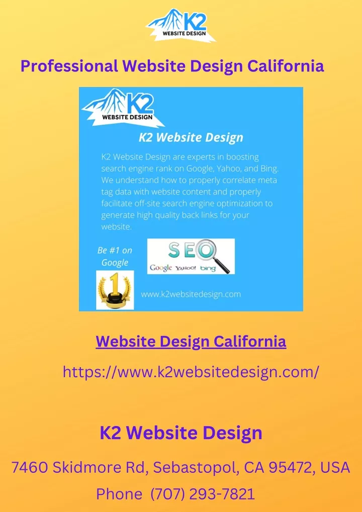 professional website design california