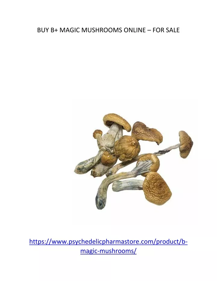 buy b magic mushrooms online for sale