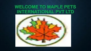 Shrimp Stratum  Maple pets international pvt ltd