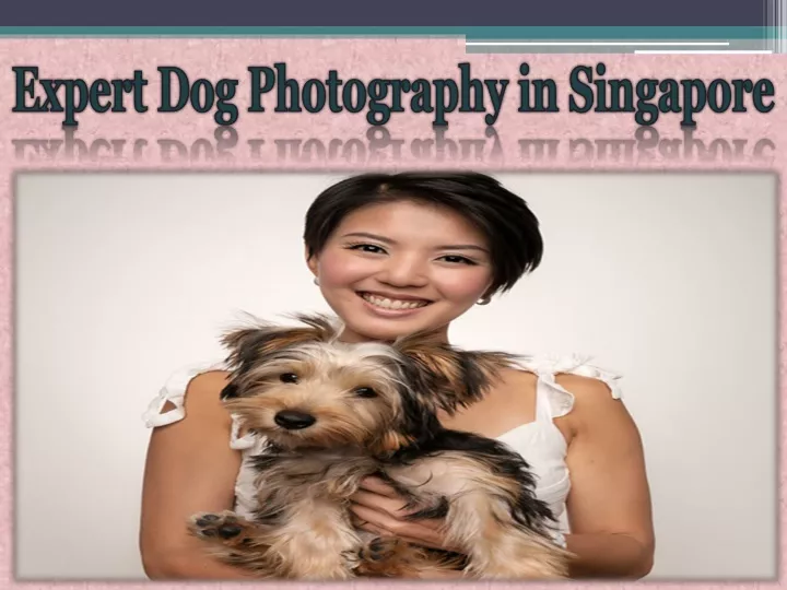 expert dog photography in singapore
