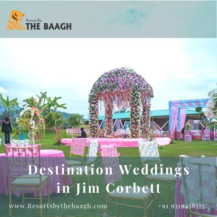 destination weddings in jim corbett