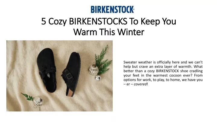 5 cozy birkenstocks to keep you warm this winter