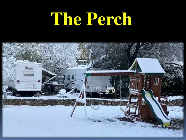 the perch