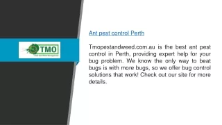 Ant Pest Control Perth  Tmopestandweed.com.au