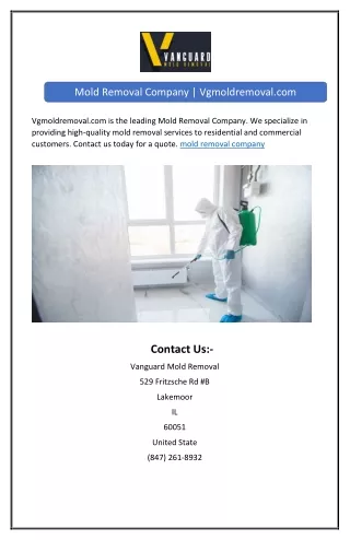 Mold Removal Company | Vgmoldremoval.com