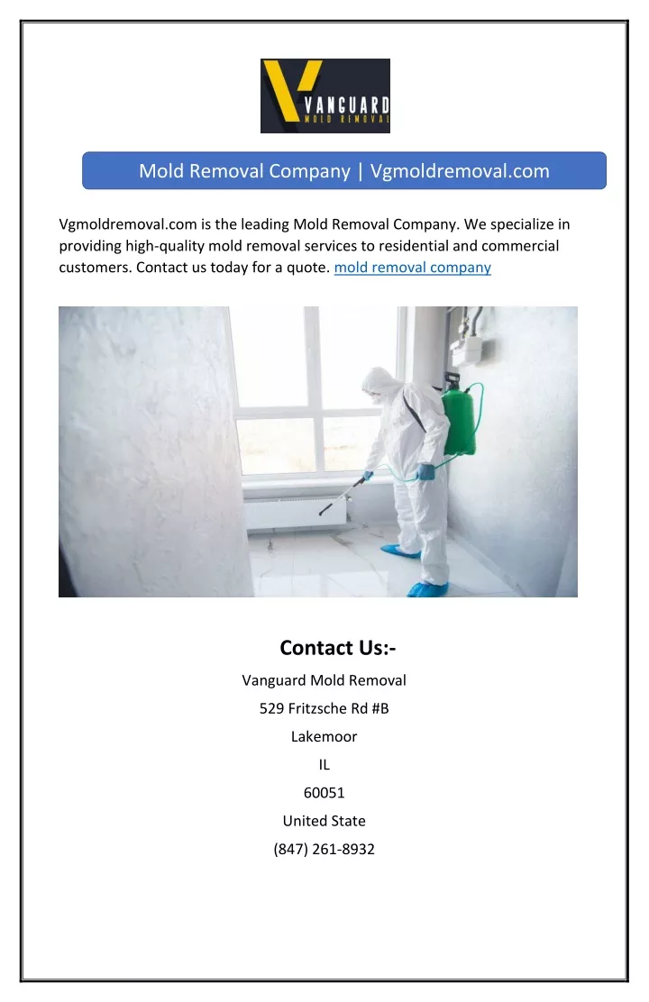 mold removal company vgmoldremoval com