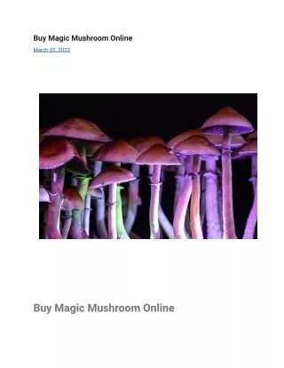 Buy Magic Mushroom Online