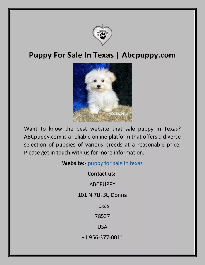 puppy for sale in texas abcpuppy com