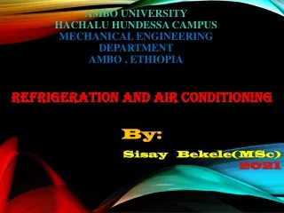 ambo university hachalu hundessa campus