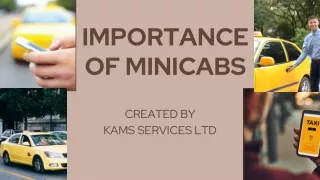 Importance of Minicabs
