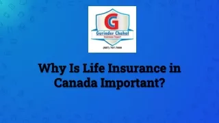 Why Is Life Insurance in Canada Important?