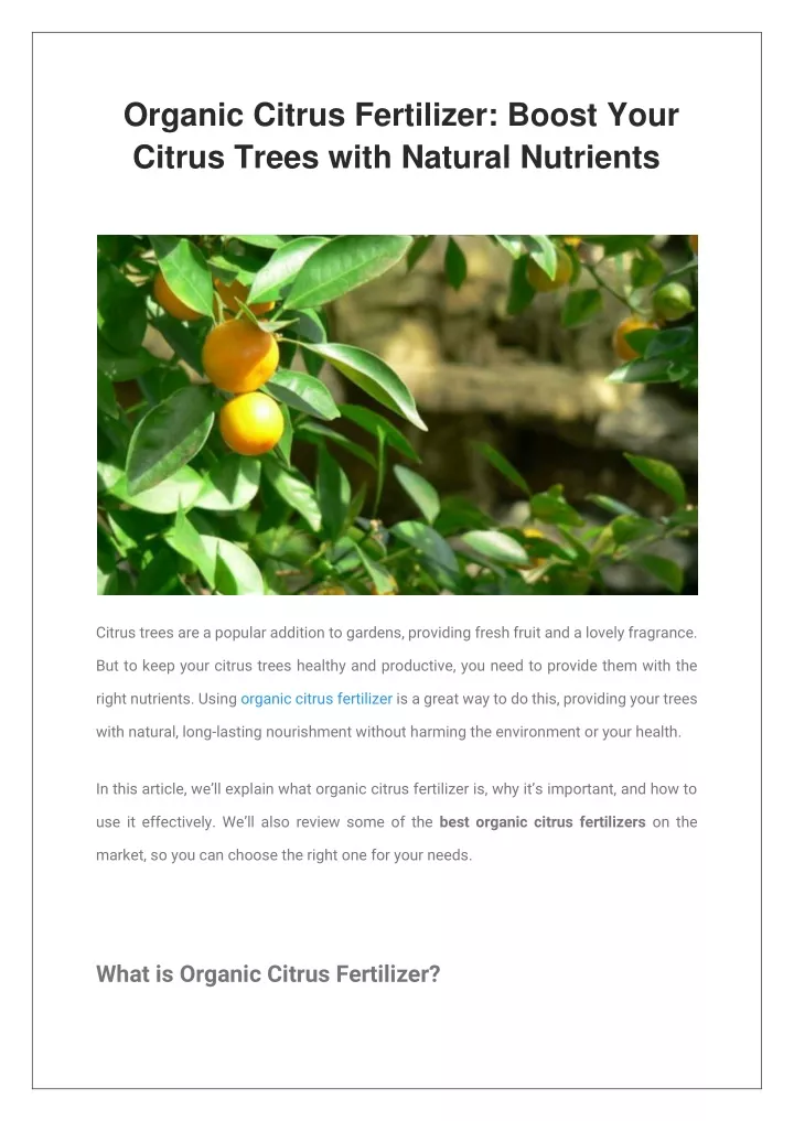 organic citrus fertilizer boost your citrus trees