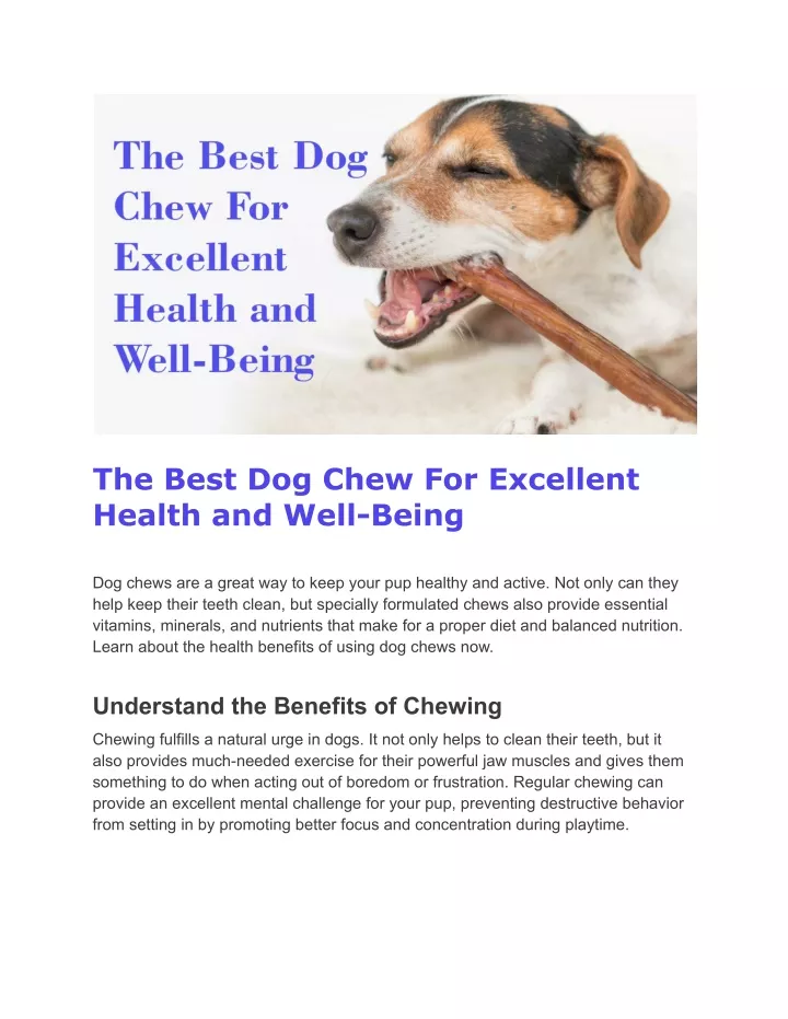 the best dog chew for excellent health and well