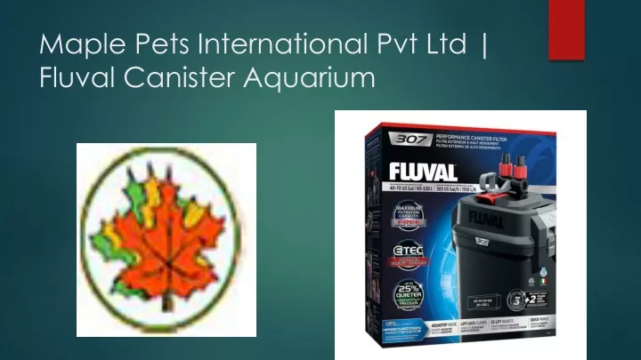maple pets international pvt ltd fluval canister aquarium