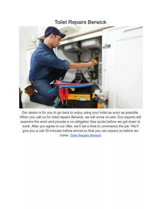 Toilet Repairs Berwick