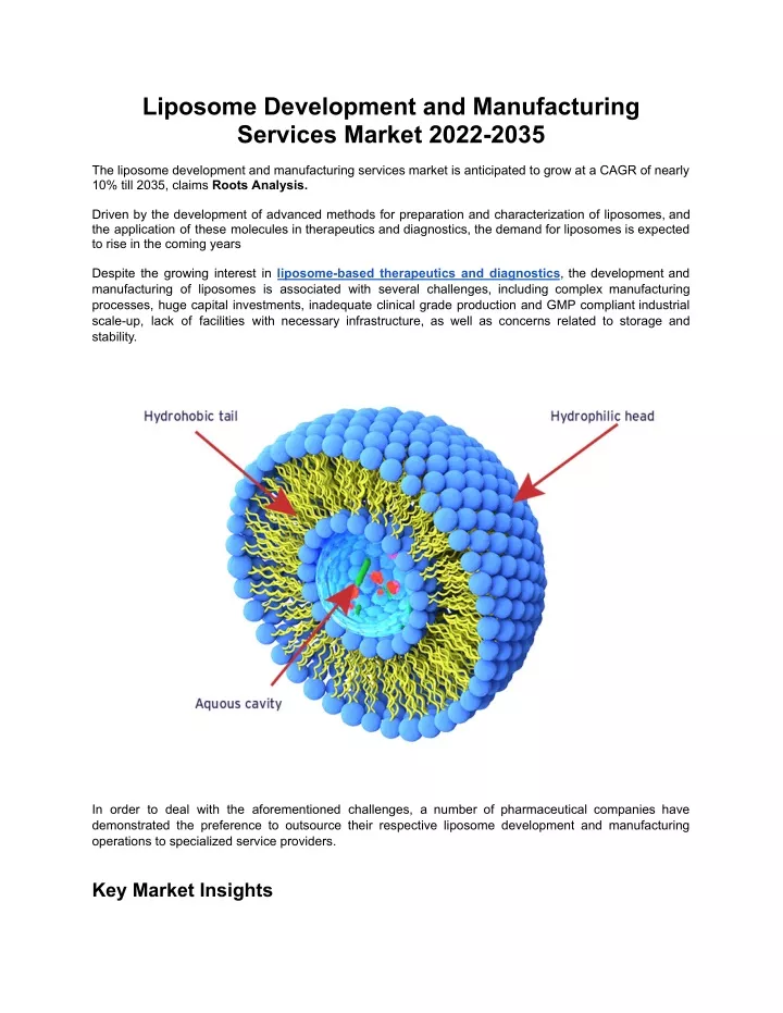 liposome development and manufacturing services