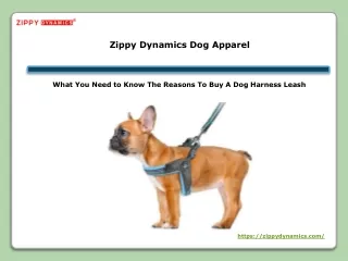 What You Need to Know The Reasons To Buy A Dog Harness Leash