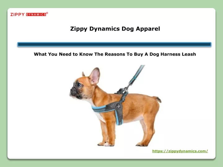 zippy dynamics dog apparel