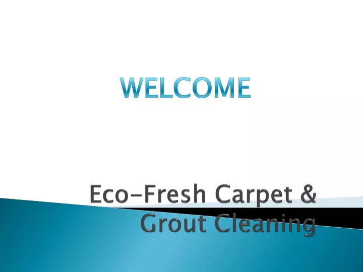 eco fresh carpet grout cleaning