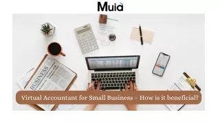 Virtual Accountant for Small Business – How is it beneficial