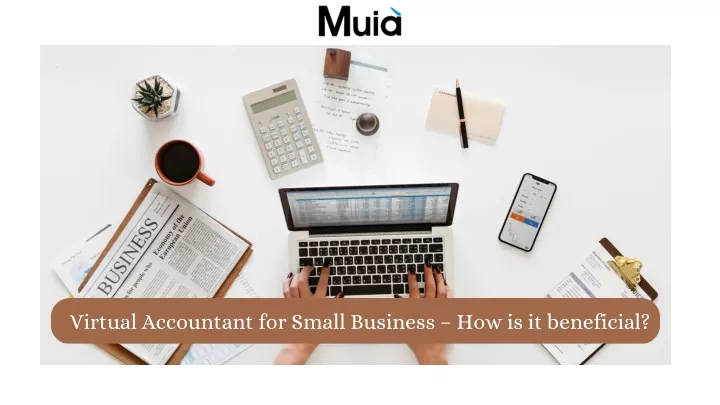 virtual accountant for small business