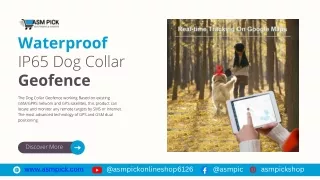 Waterproof IP65 Dog Collar Geofence