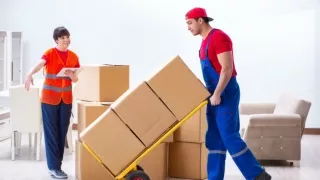 Noida Movers and Packers