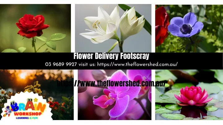 flower delivery footscray 03 9689 9927 visit