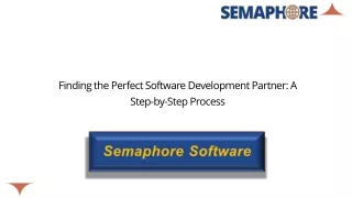 finding the perfect software development partner