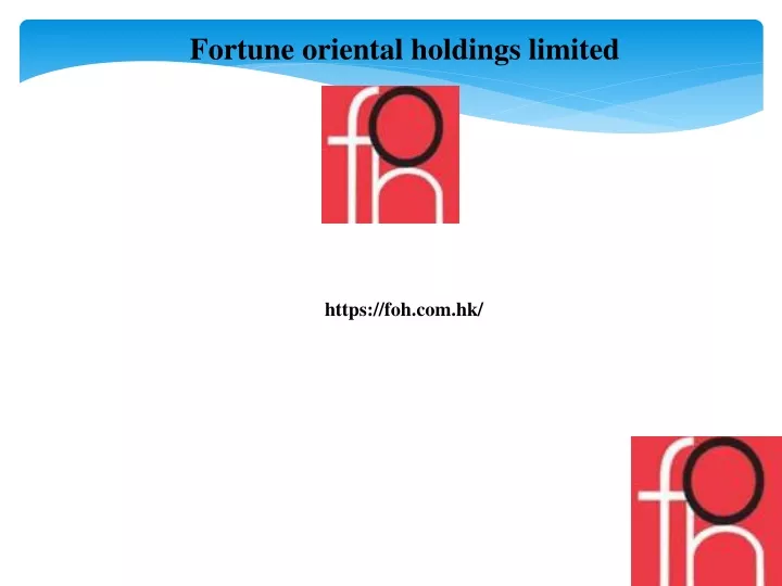 fortune oriental holdings limited