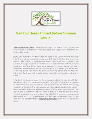 Get Your Trees Pruned Before Summer Sets In