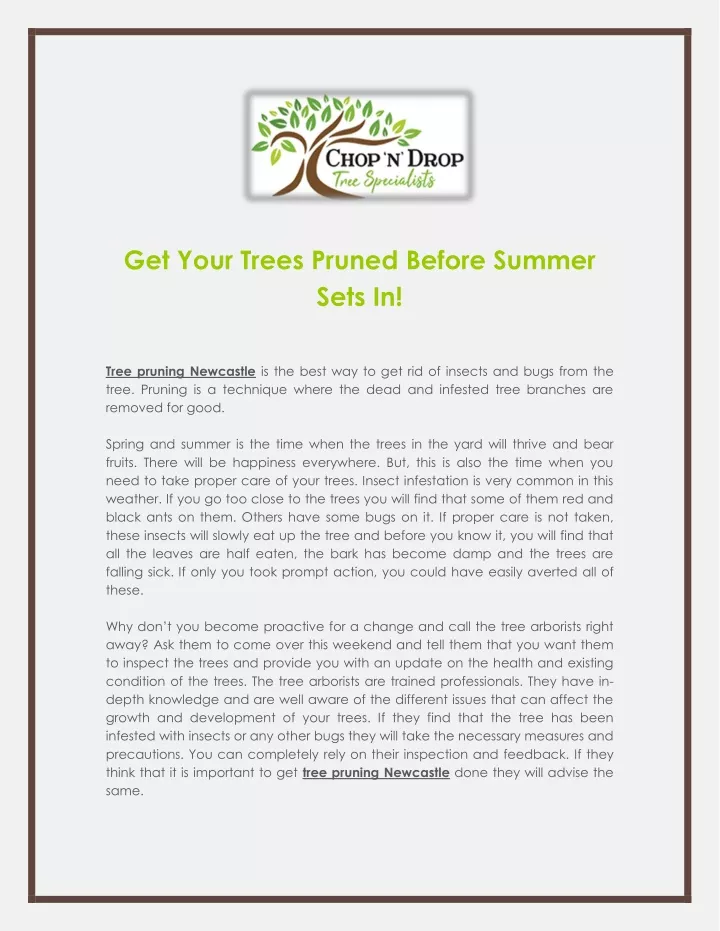 get your trees pruned before summer sets in