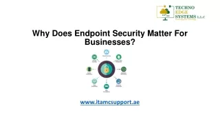 why does endpoint security matter for businesses