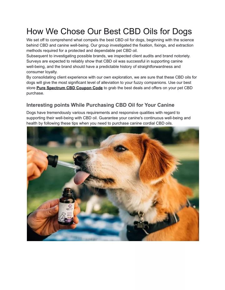 how we chose our best cbd oils for dogs