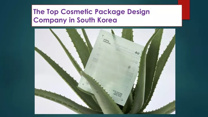 the top cosmetic package design company in south