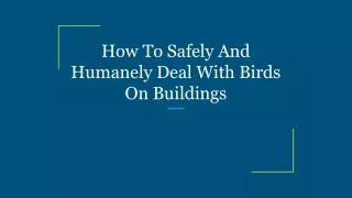 How To Safely And Humanely Deal With Birds On Buildings