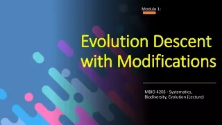 evolution descent with modifications