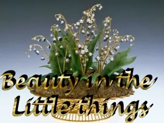 beauty in the little things