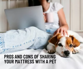 Pros and Cons of Sharing Your San Diego Mattress with a Pet