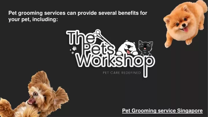 pet grooming services can provide several