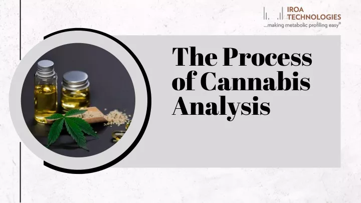 the process of cannabis analysis