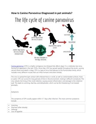 how is canine parvovirus diagnosed in pet animals