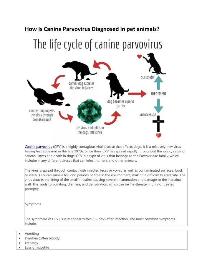 how is canine parvovirus diagnosed in pet animals