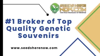 #1 Broker of Top Quality Genetic Souvenirs