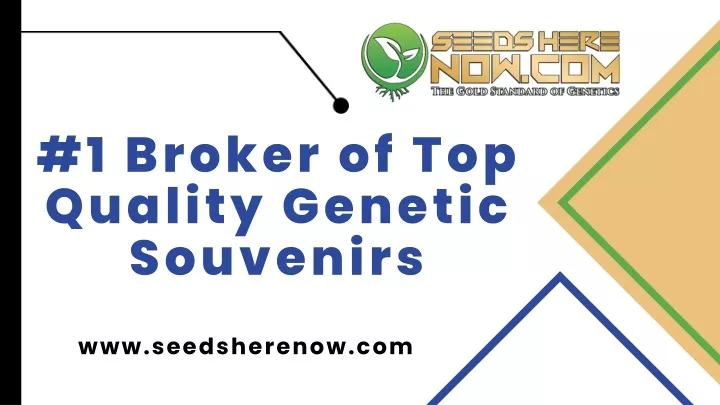 1 broker of top quality genetic souvenirs