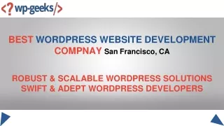 best wordpress website development compnay