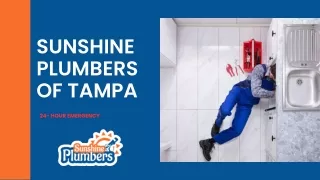 plumber Service in Tampa