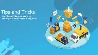 Tips and Tricks for Small Businesses to Navigate Domestic Shipping